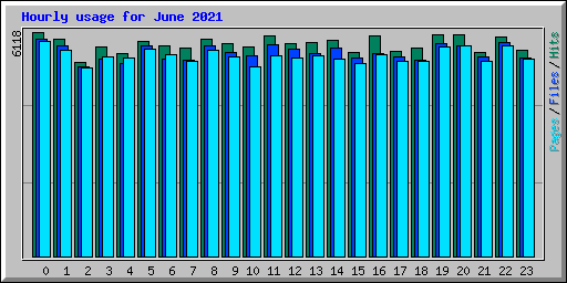 Hourly usage for June 2021