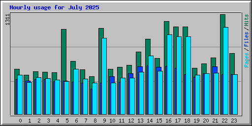 Hourly usage for July 2025