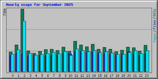 Hourly usage for September 2025