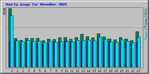 Hourly usage for November 2025