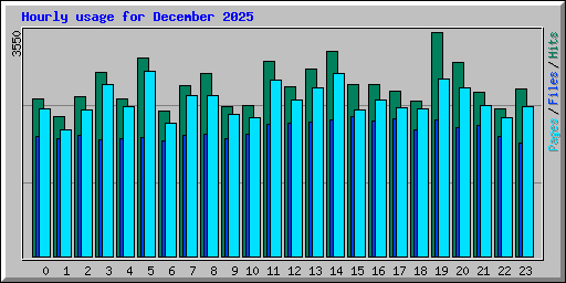Hourly usage for December 2025