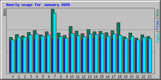 Hourly usage for January 2026